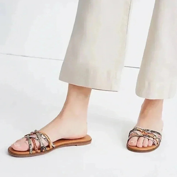 The Tracie Crisscross Slide Sandal in Snake EmbossedLeather - Picture 1 of 4